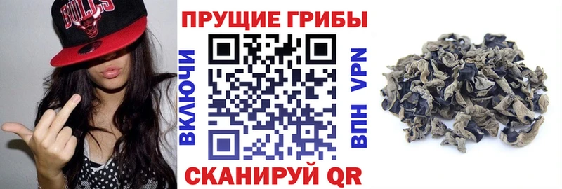 Псилоцибиновые грибы Magic Shrooms  Купить  Вельск 